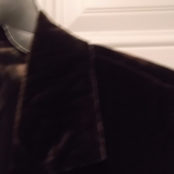 Brown Velvet Short Jacket - NWT - Picture 3 of 6